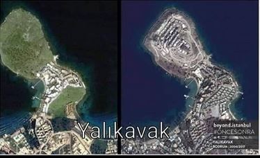 yali.jpg
