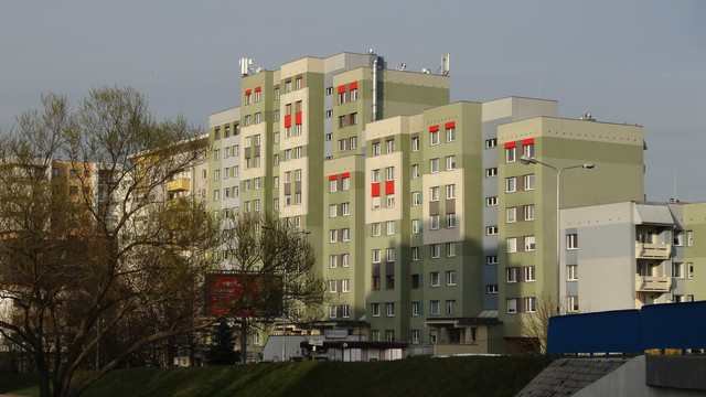 DSC09913