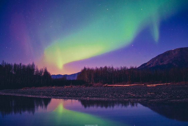 FMP Background NL.jpg