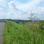 P1330226