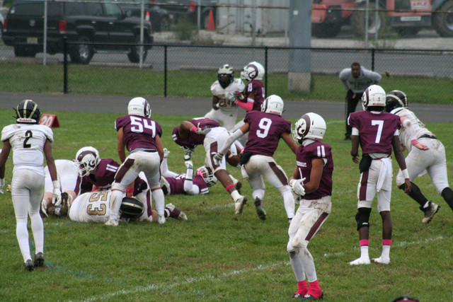 IMG-8464.jpg