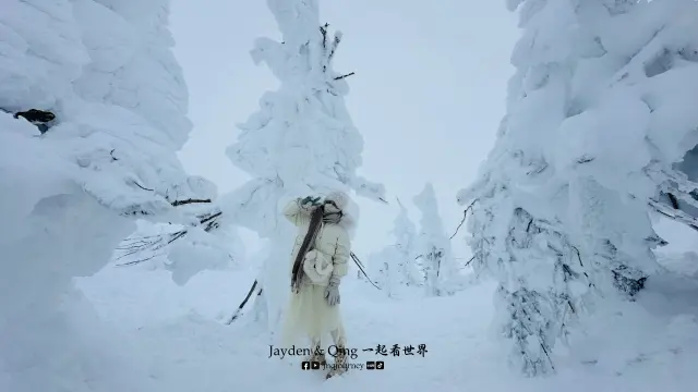 藏王树冰5.webp