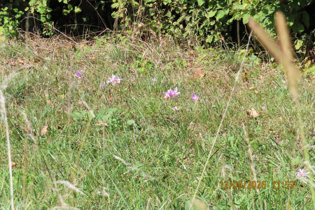 IMG 3455.jpg