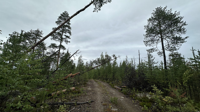 IMG 5246.jpg