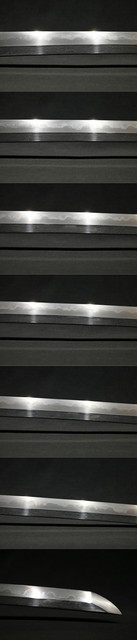 DSC4123