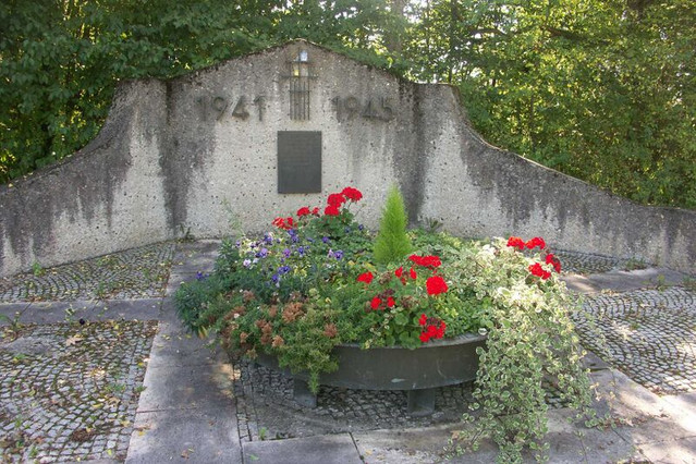 https://i.ibb.co/gL0nHwjW/image.jpg