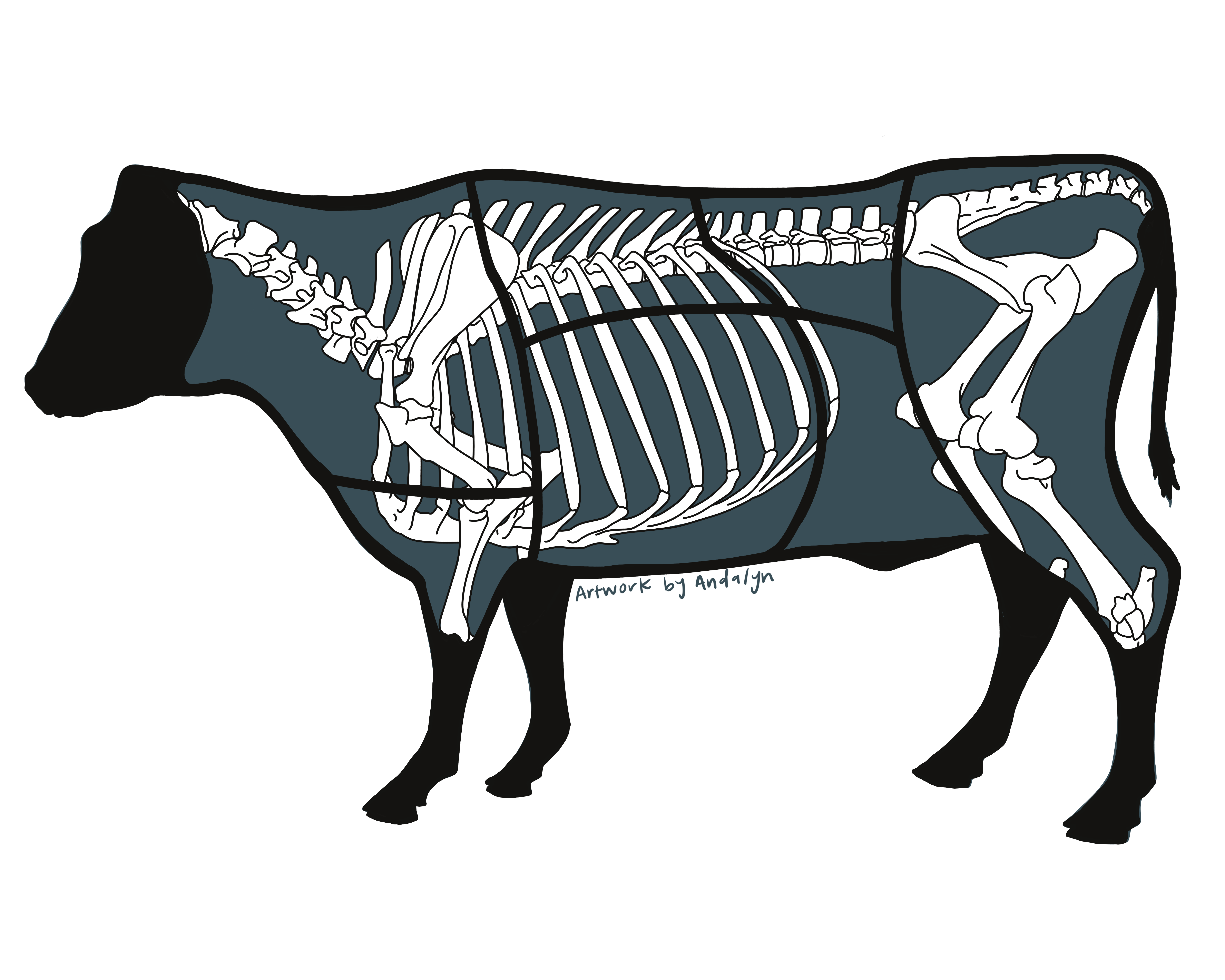 Hand-drawn illustration