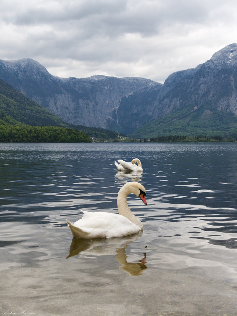 IMG-0315-2