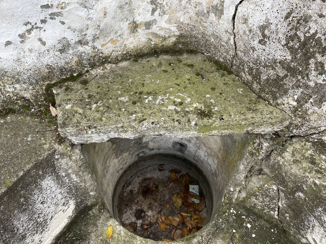 IMG 0385.jpg