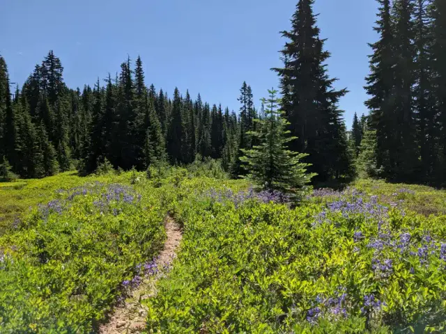 pixnio 4032x3024 1