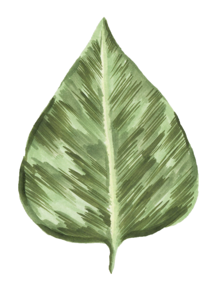 FLOWER-39-Copy.png