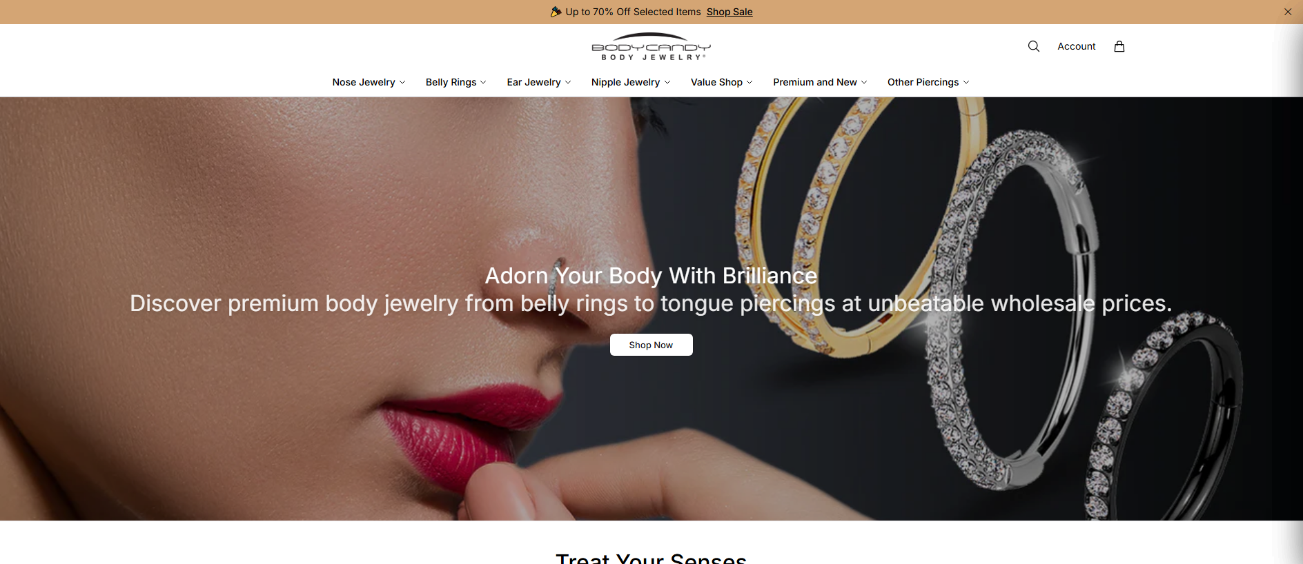 Stored capture of bodycandyhub.shop