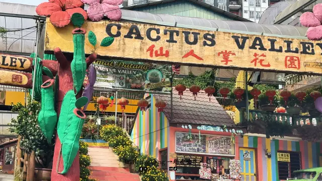 Big Red Strawberry Farm8.webp