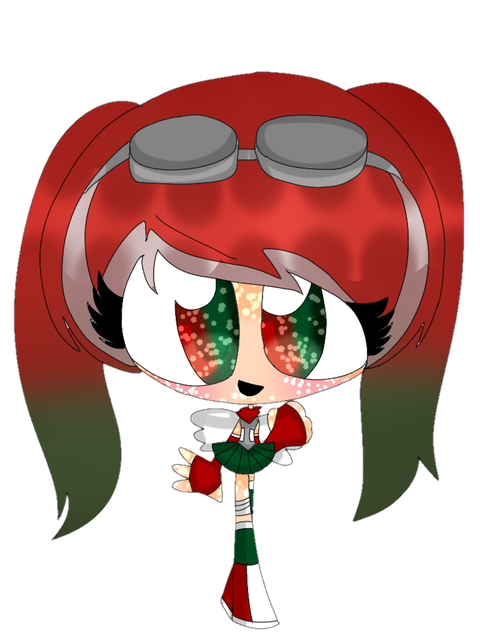 Salgueiro