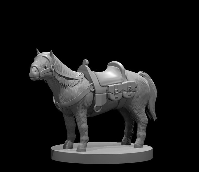 Pony mount.jpg