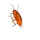 1147665491356295310.webp