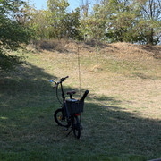 IMG 3167