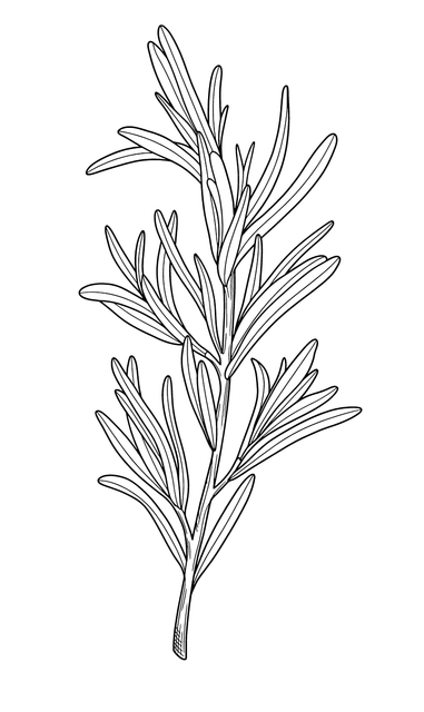 64857ca03976a30f2c75a08beb1533db.png