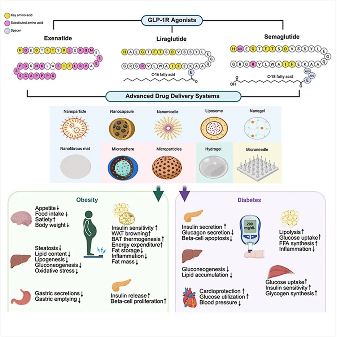 New Approaches to GLP-1 Medicines