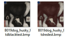 Huskies.jpg