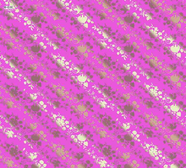 b 03E.jpg
