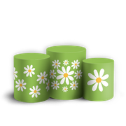 905715-Flor-Margarida