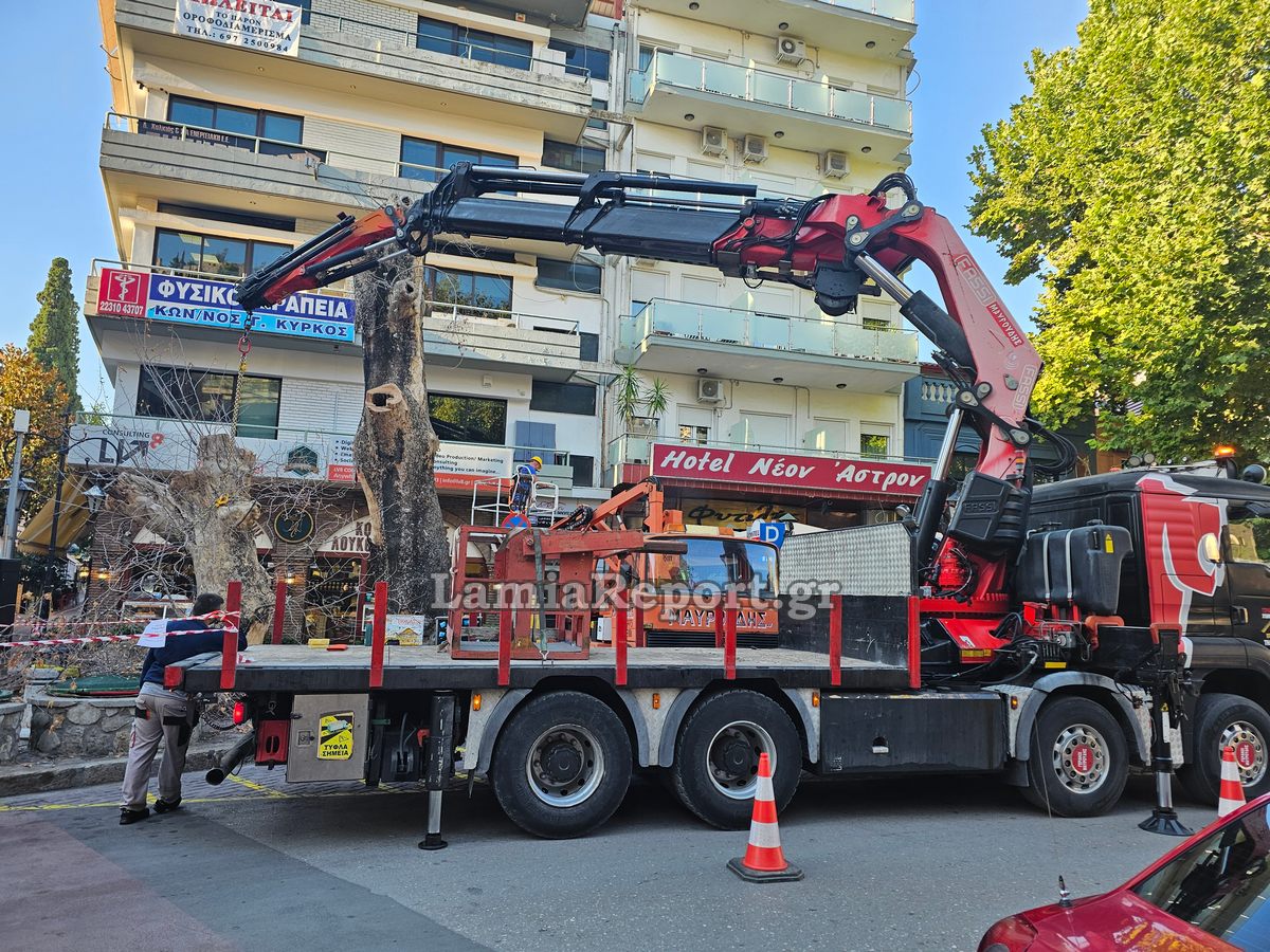 Δεντρο πλατεια Λαου008