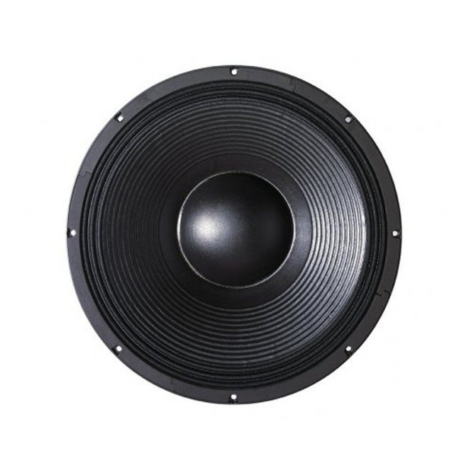 21SW115 8 OHMS 1.jpg