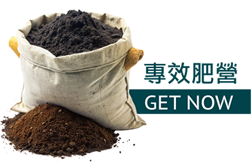 分類三