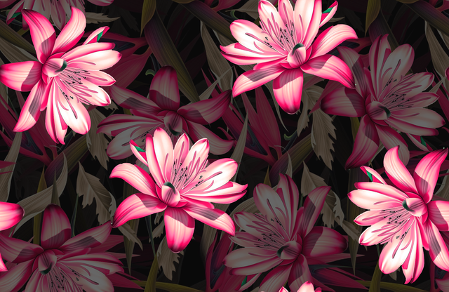 2ca3fe1b1bb5b12e89861c960fe170c3.png