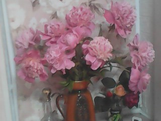 IMG0278B.jpg