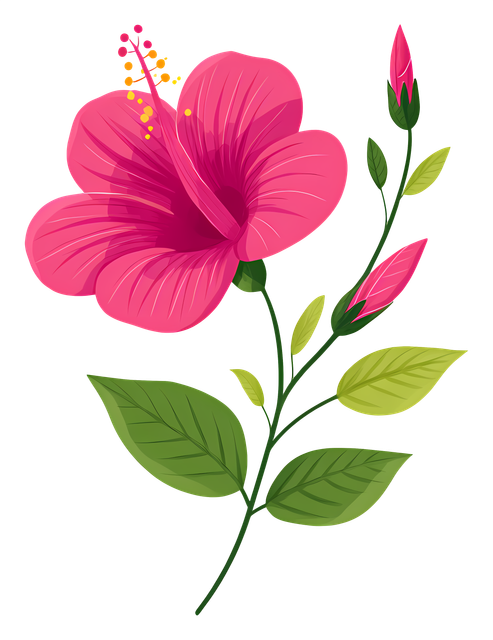 b207651979bbae267fc2ad508c04d2aa.png
