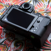 https://i.ibb.co/gLhVQ9Jb/XSB0107.jpg