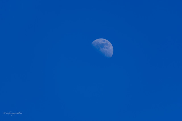 DSF6157.jpg