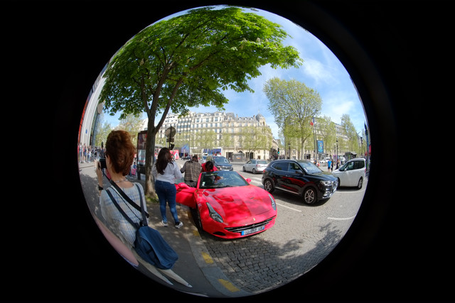 DSCF9125.jpg
