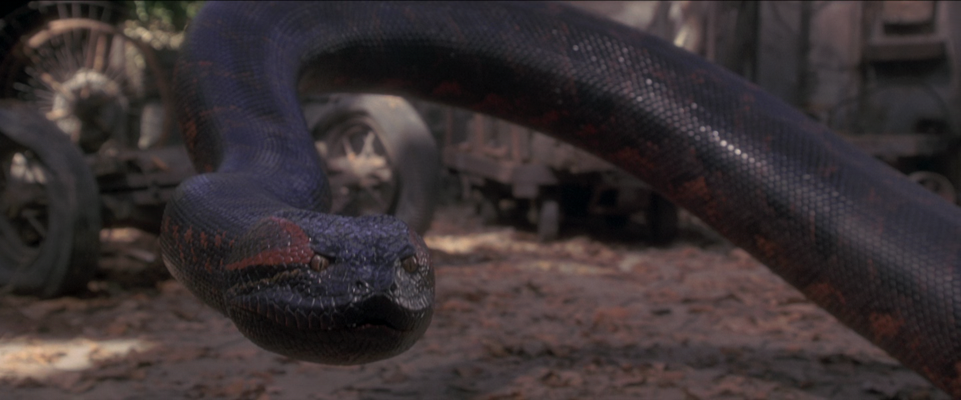 Movie cover image