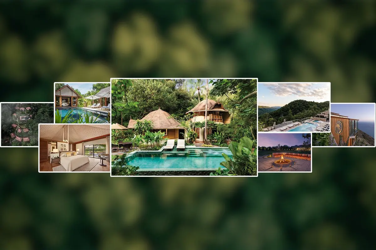 Luxury Resorts Thrive in the World’s Remaining Wild Forests