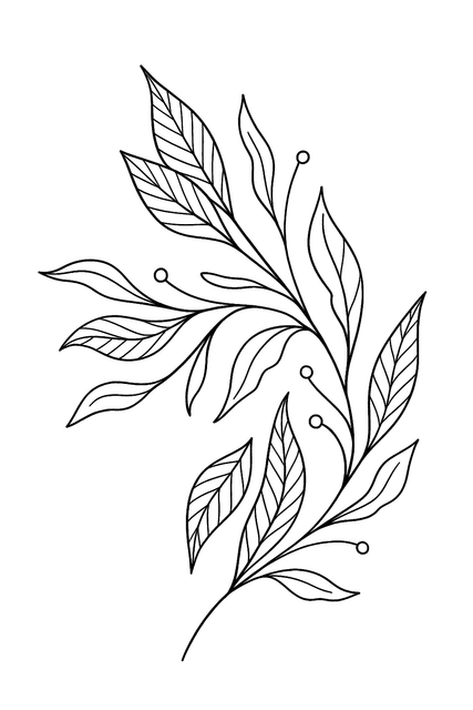 274cd9b1dfd9e0a403ce681101e1deeb.png