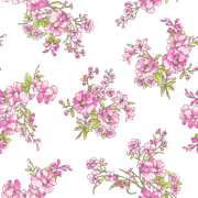 1ed565c3ca87a1a18654ee94245c22cc
