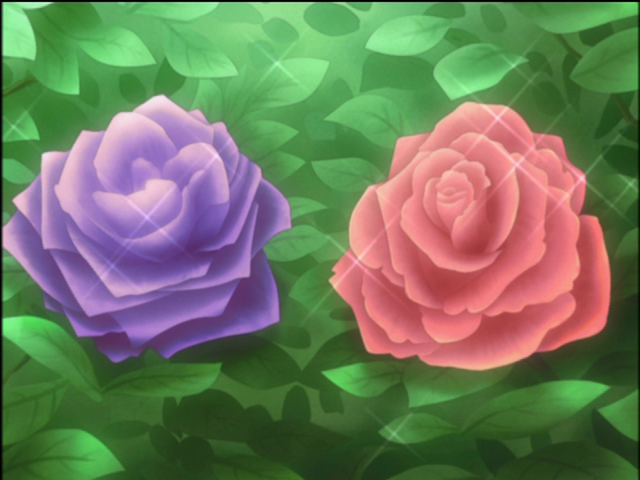 62171942cd15.png