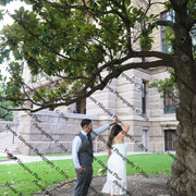 IMG 4254