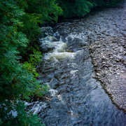 L1461433