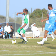 IMG 7301