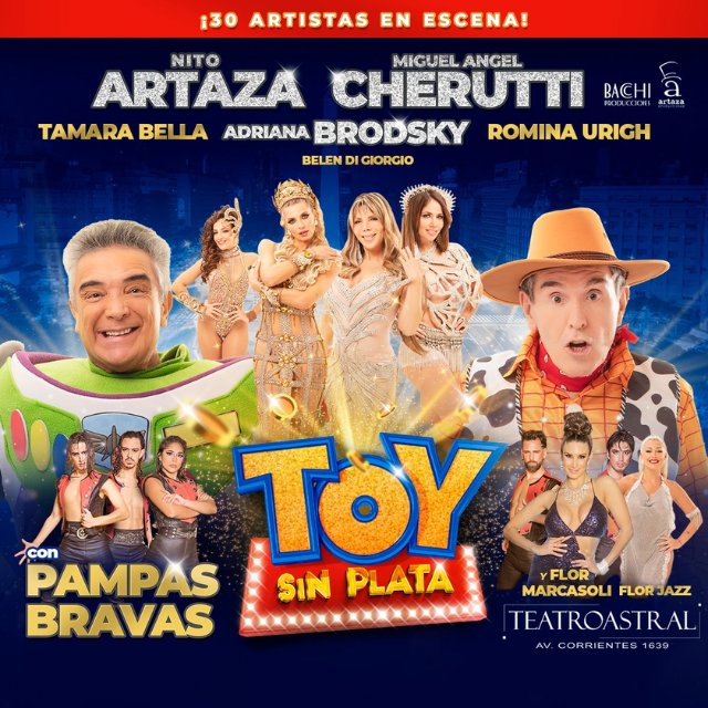 Póster de Toy sin plata