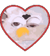 1di Noov