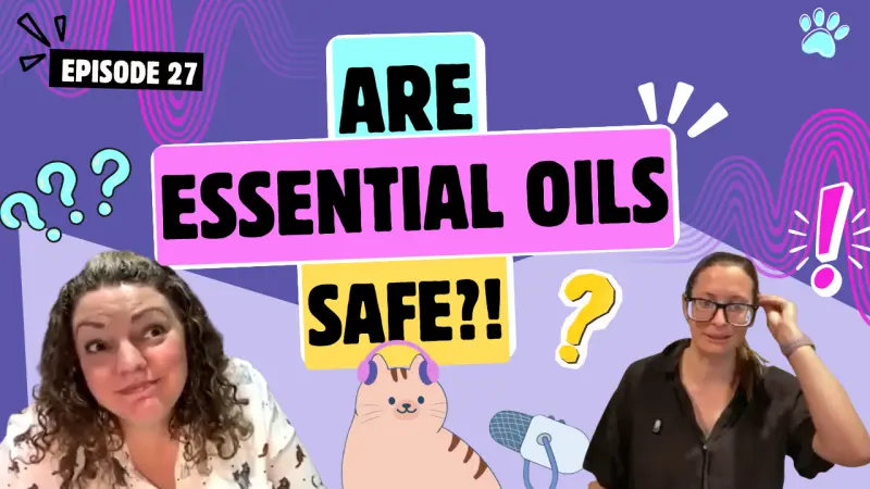 Essential Oils, Homemade Cat Food, and Butter Color