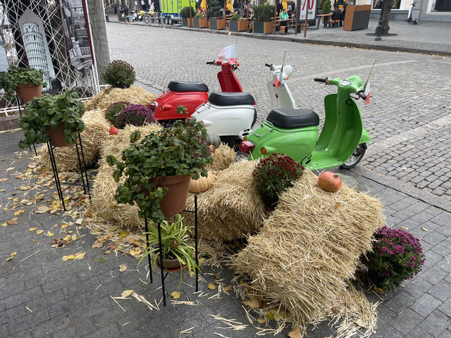 IMG-4461