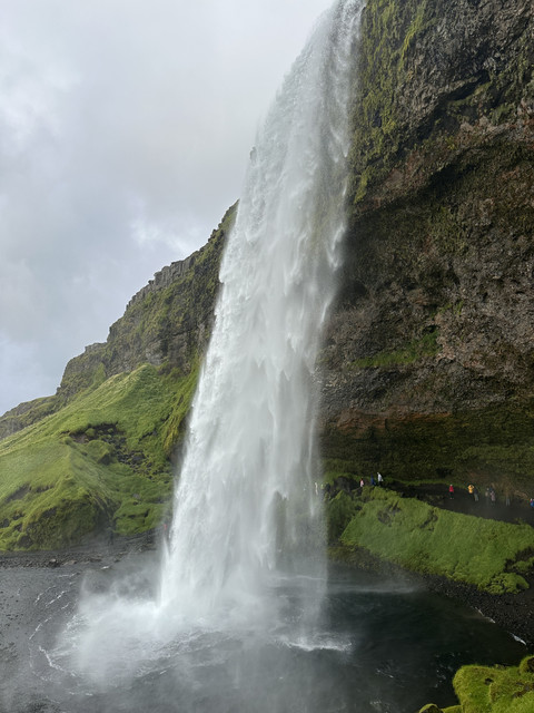 IMG-6243