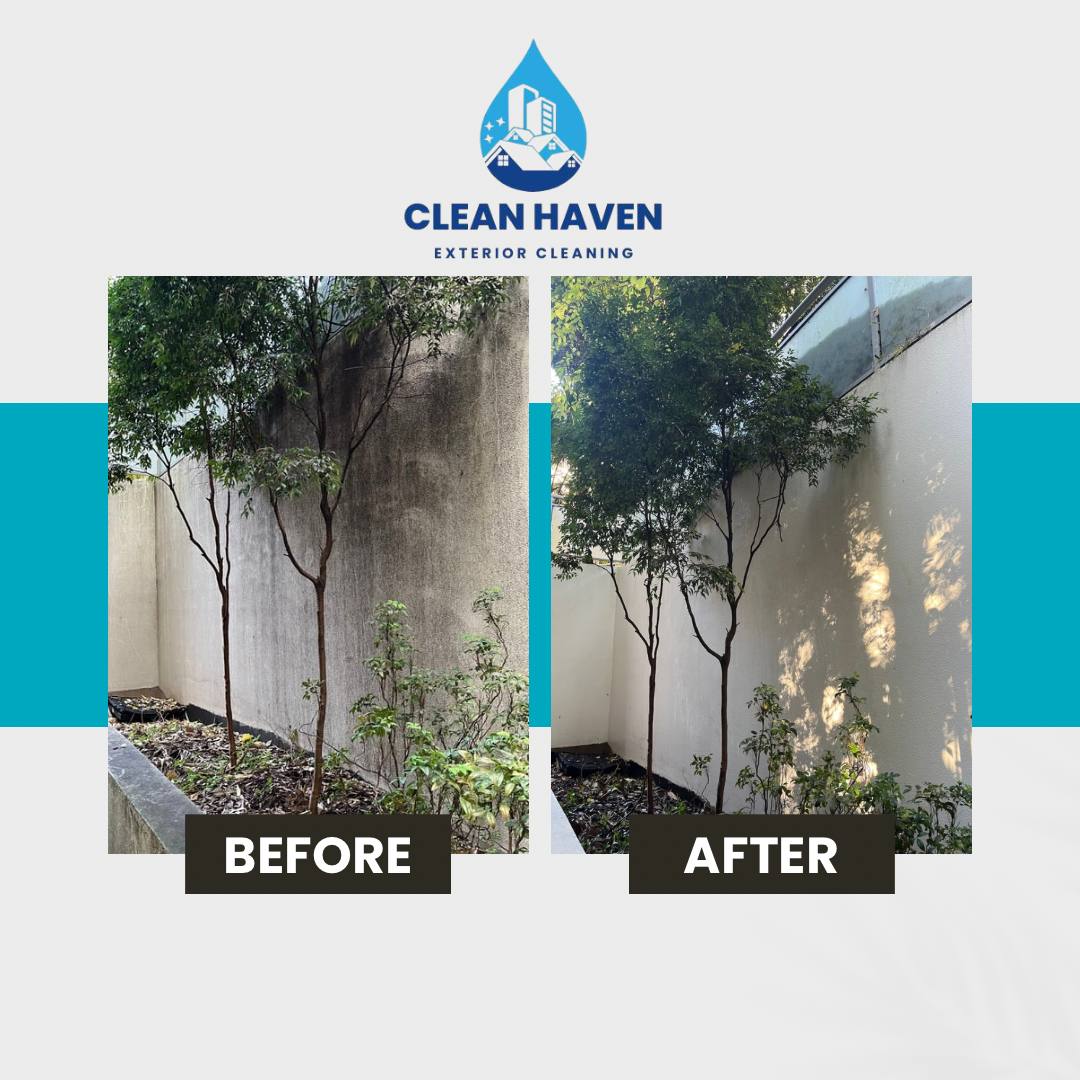 White Garden Wall Restoration before and after cleaning by CleanHaven