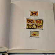 IMG-3953